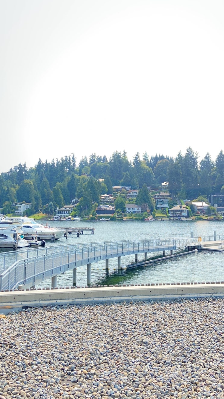  [Seattle] 빌 게이츠가 되어 볼 수 있는 밸뷰의 공원, Meydenbauer Bay Park