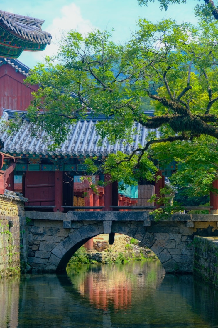  영화 헤어질겸심 촬영지라는 “순천 송광사” 배롱나무가 아름답게 피어있어요