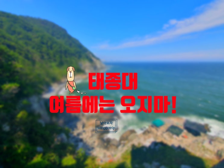  부산 태종대 다누비열차 타봄, 여름에는 볼거리 없음.