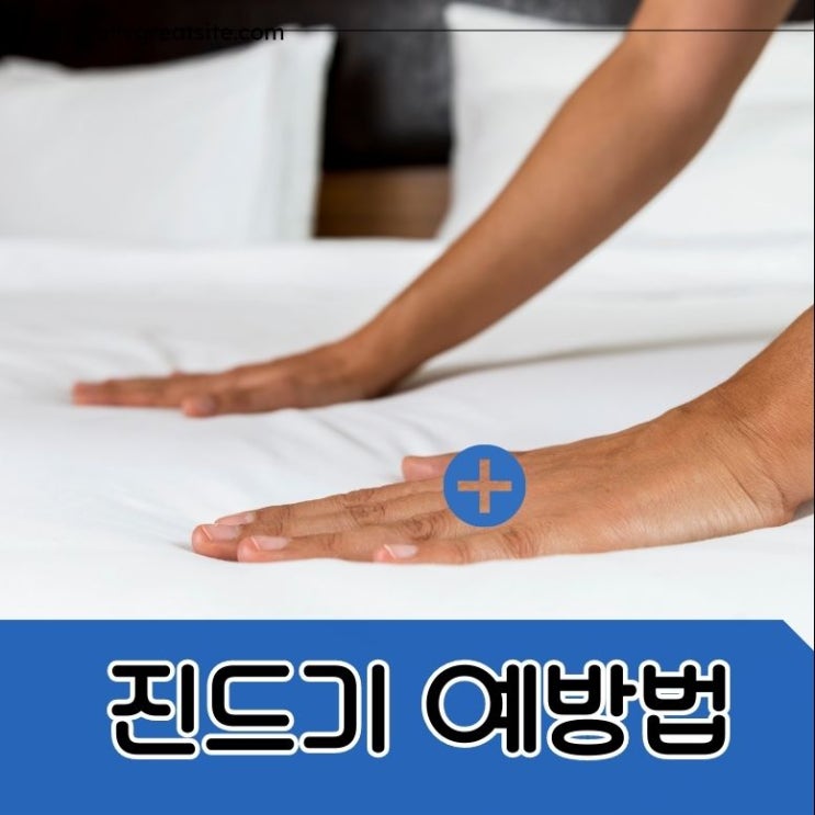  진드기 종류 수명 예방법
