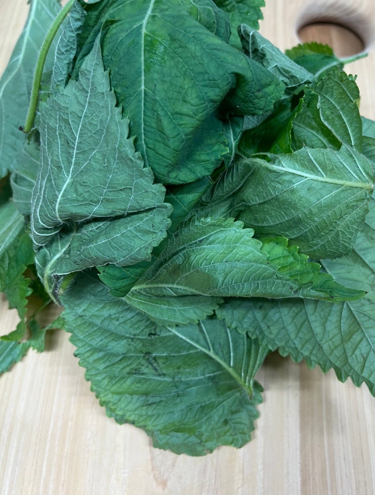  [간단 깻잎요리]냉장고 깻잎 소진하기