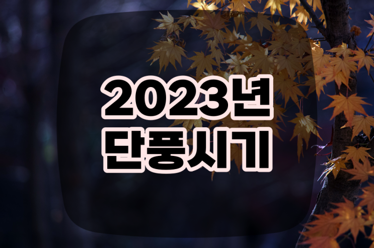  2023년 단풍시기 알아보기