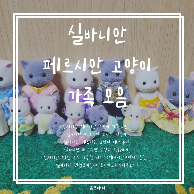 실바니안 패밀리 2019년 출시 페르시안 고양이 가족 모음 완성 후기