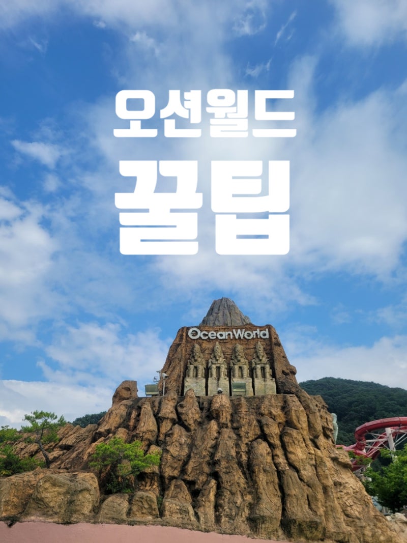 오션월드 후기와 어트랙션 꿀팁 파도풀 시간