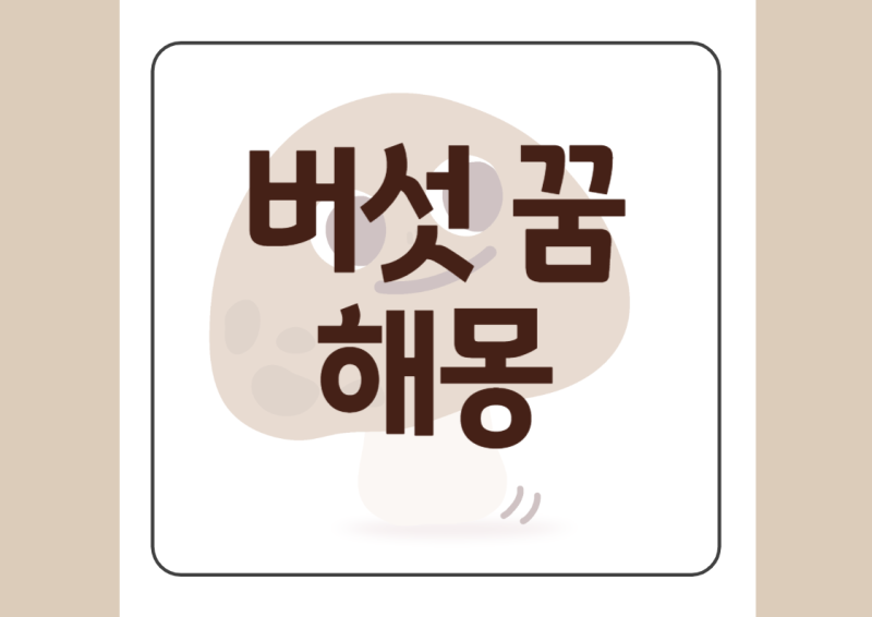 [ 버섯 꿈 ] 다양한 버섯 꿈 해몽 버섯나오는 꿈 풀이 모음