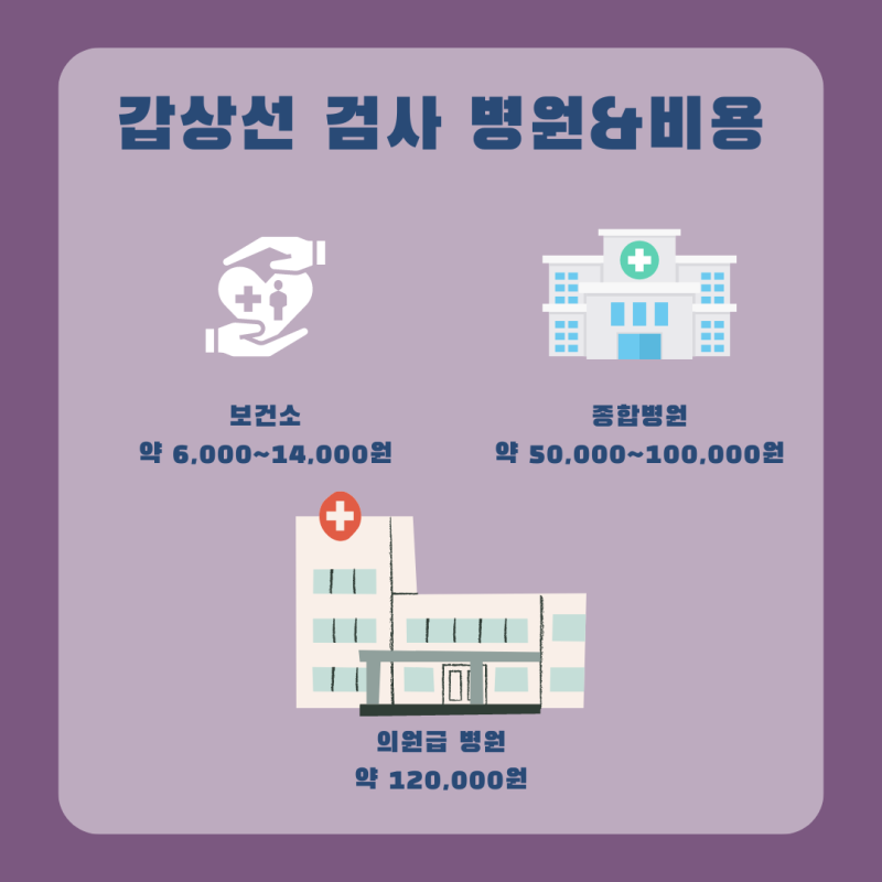 갑상선 기능 저하증의 증상 검사 비용의 원인 치료 방법