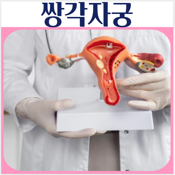 쌍각자궁 임신 진당방법 난임률 낮추는방법 호르몬수술