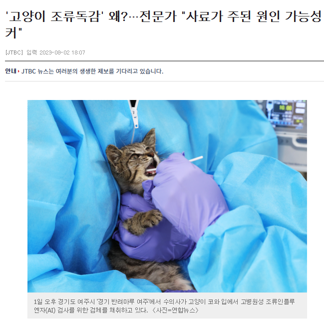 [조류 인플루엔자 인체감염증] - 증상, 진단방법, 치료방법, 신고 등