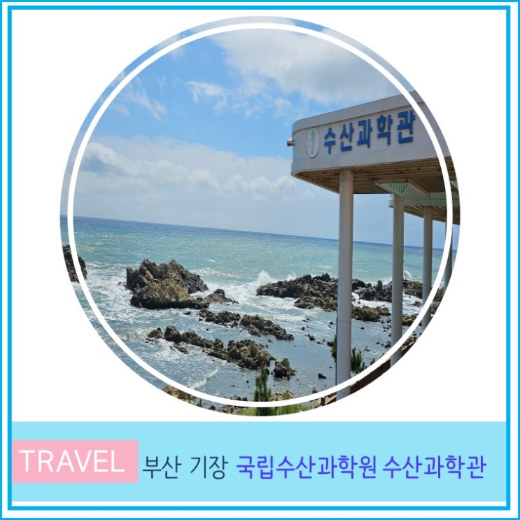  부산 여행 기장 아이와 가볼만한 곳 국립수산과학원 수산과학관