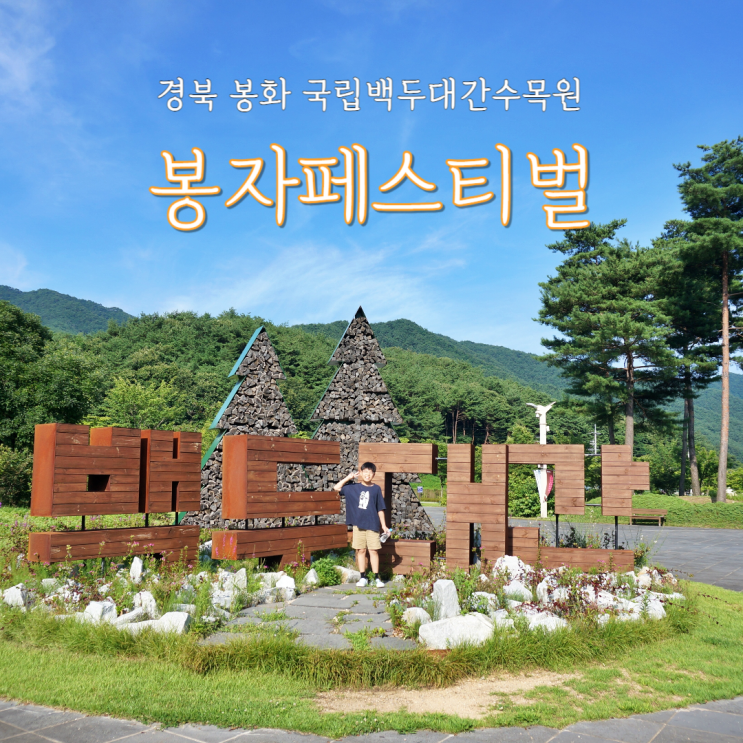  봉자페스티벌 2023 여름 행사는 취소되었지만 프로그램은 살아있다.