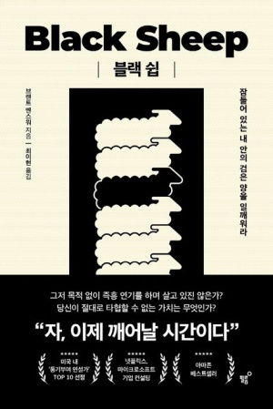  블랙쉽 20대 끝나기 전 꼭 봐야할 자기계발서