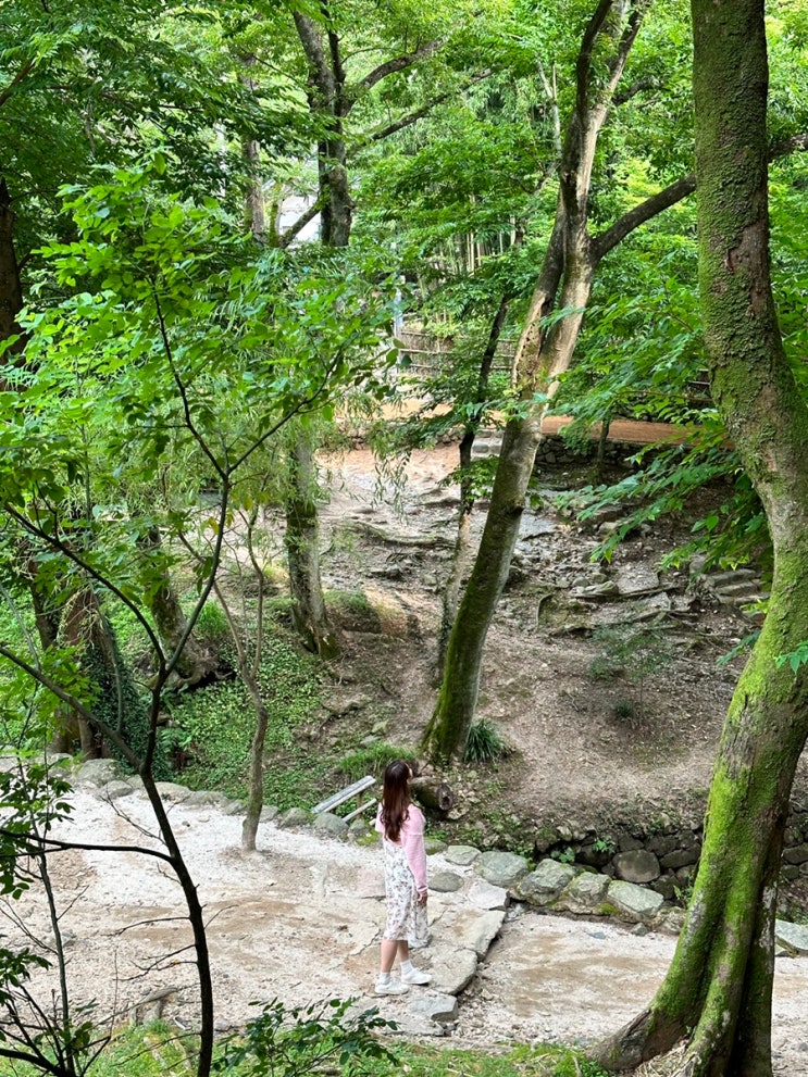  담양 꼭 가야하는 명소 소쇄원 식영정