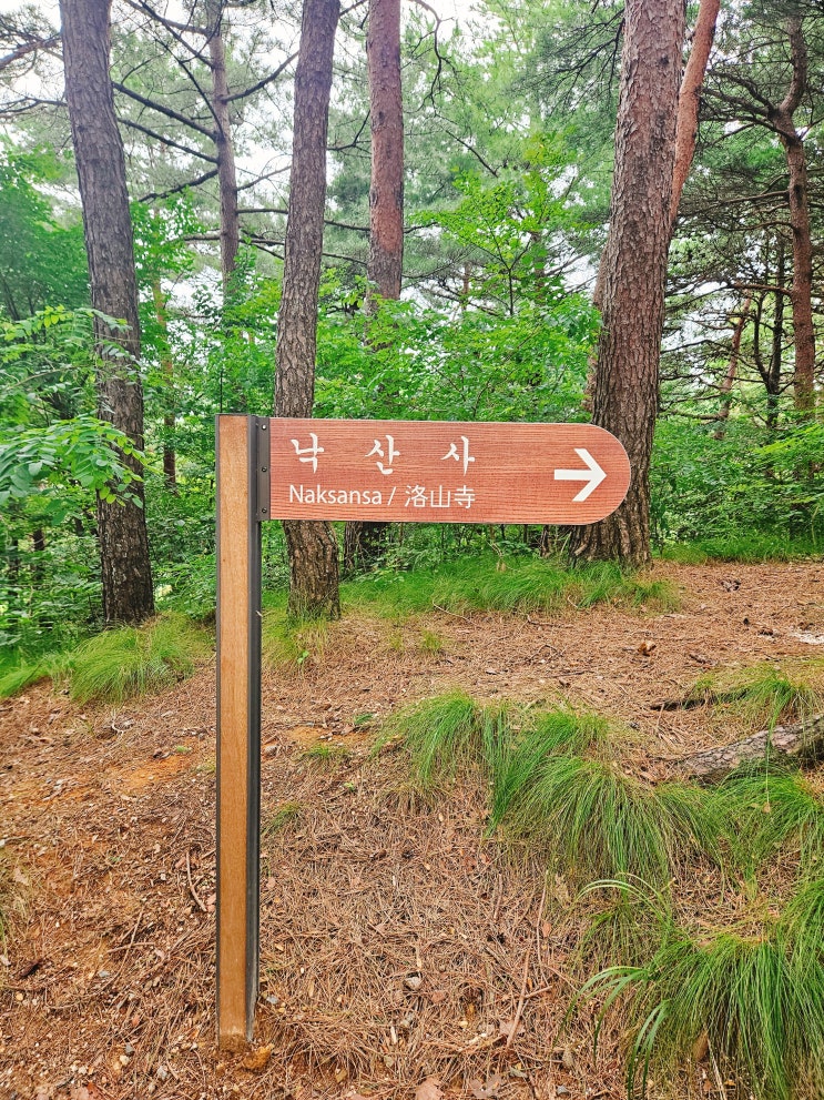  강원도 양양 "낙산사"
