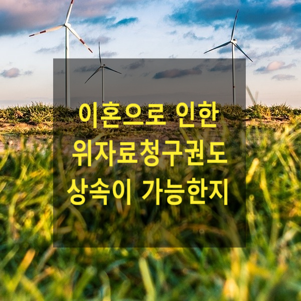  상속 - 이혼으로 인한 위자료청구권도 상속이 가능한지