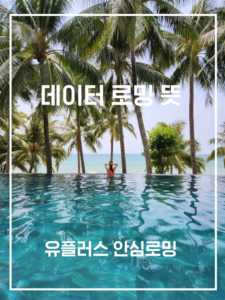  데이터 로밍 뜻 / 베트남로밍 / 유플러스 안심로밍 가격