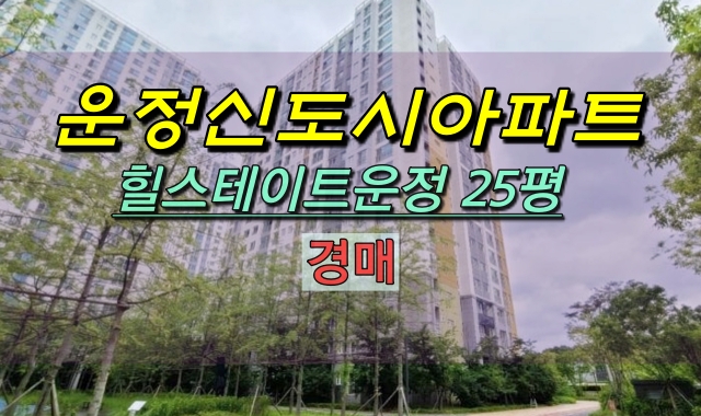  운정신도시아파트 경매 힐스테이트운정 25평형
