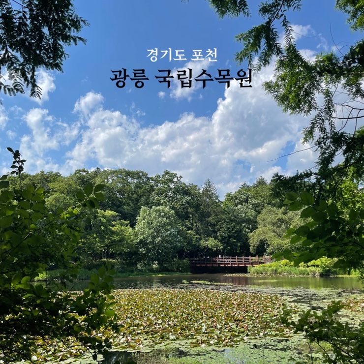  서울 근교 포천 가족과 함께 가볼 만한 곳 광릉 국립수목원 - 주차 예약 및 버스 정보