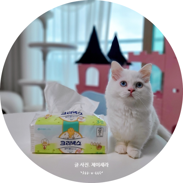  도톰한 3겹으로 깨끗한 마무리 크리넥스 울트라 클린 팝업 티슈