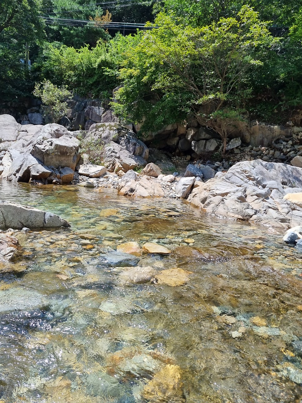 알펜하임펜션 사진 4