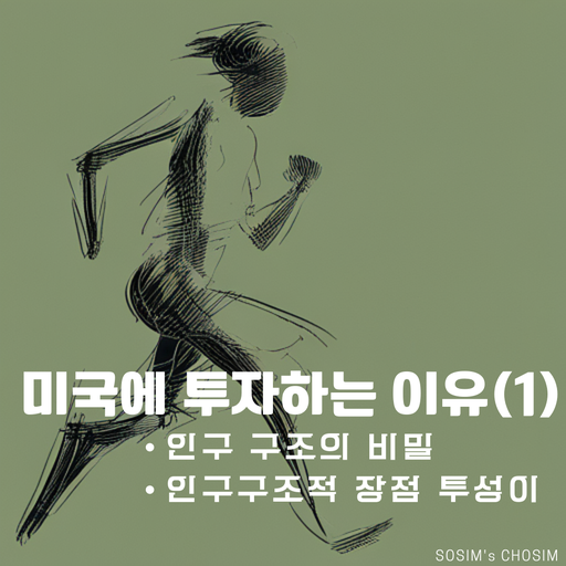  [미국 주식] 소심한 러너가 미국에 투자하는 이유(1)