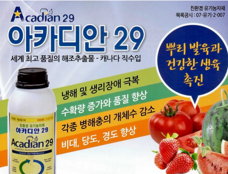 아카디안29