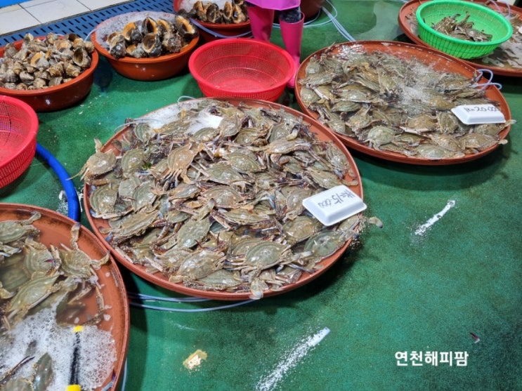  대명항 꽃게가격 가을꽃게시즌시작 대명항수산시장 어판장