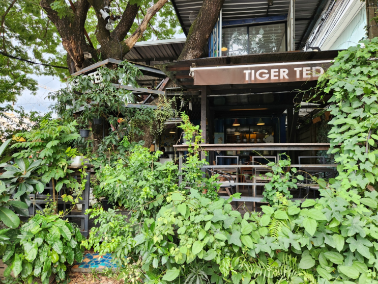  치앙마이 Tiger Ted Cafe 님만해민 마야몰 주변 카페(숲속 오두막 느낌)