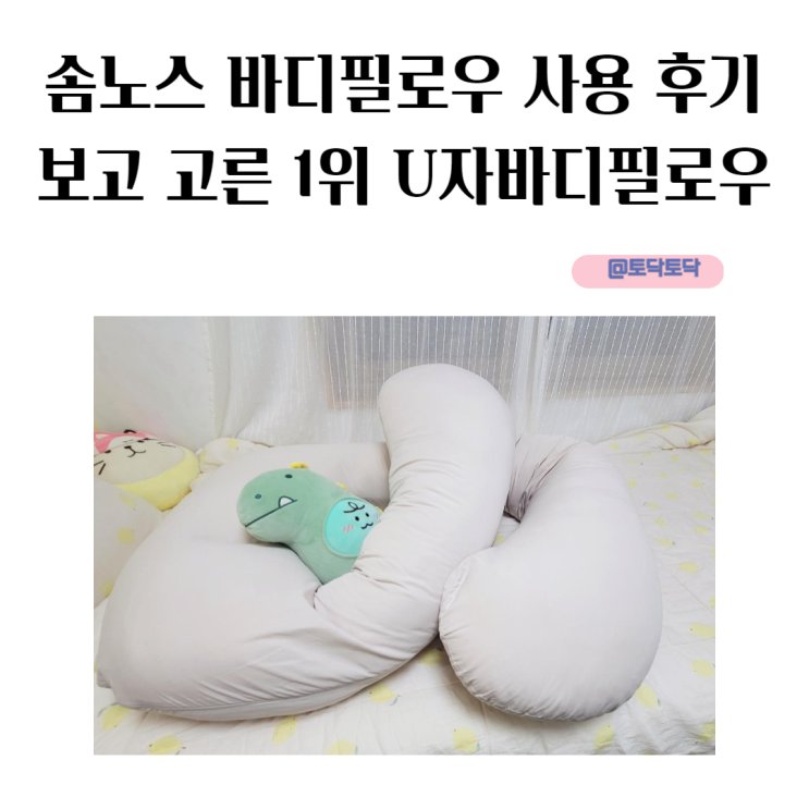 솜노스 바디필로우 사용 후기보고 고른 1위 U자바디필로우 솜노스 바디필로우 사용 후기보고 고른 1위 U자바디필로우