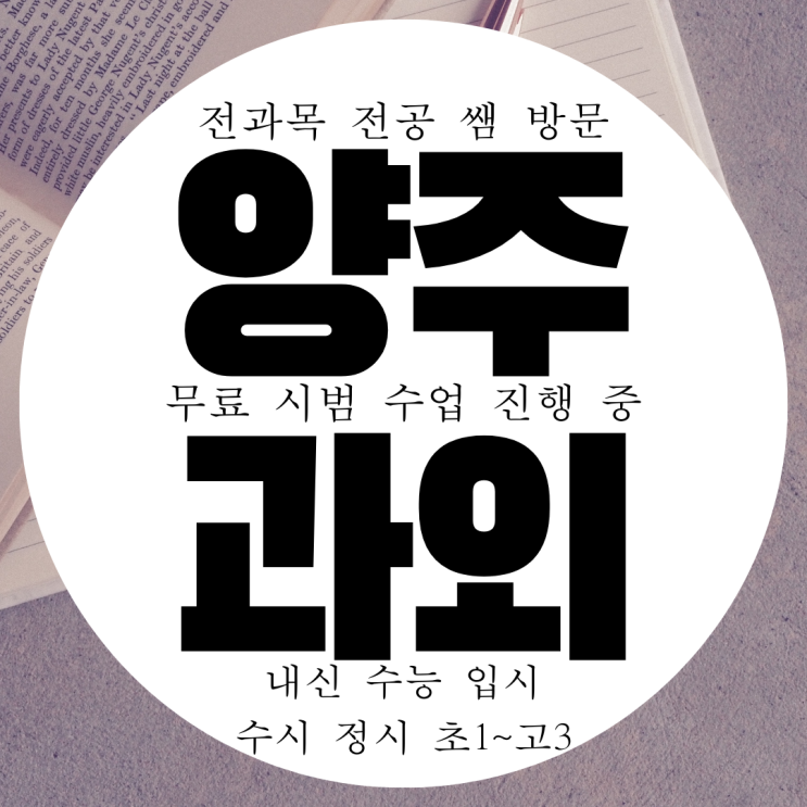 양주 옥정 영수과외 옥정신도시 국영수 전과목 국어 중등 중학생 과외