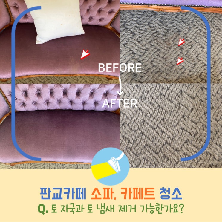  판교 카페 소파청소로 토얼룩, 토냄새 말끔히 제거