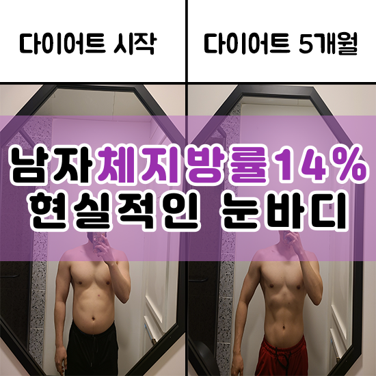  남자 체지방률 14% 다이어트 전후 현실적인 몸