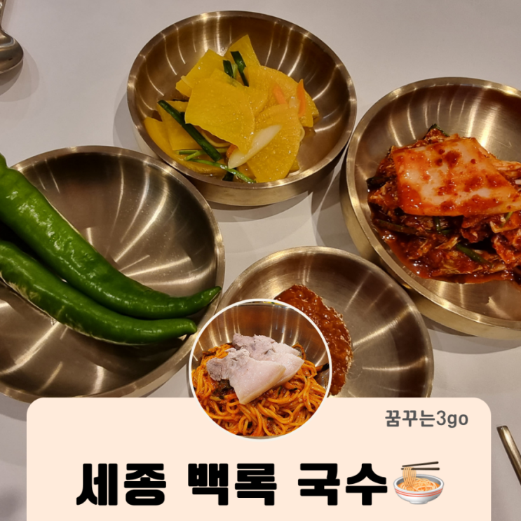  세종 백록 국수 고기 국수 보말국수 제주 감성