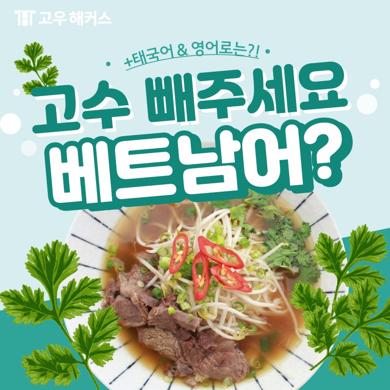 고수 빼주세요 베트남어/태국어로 말하기!(+ 고수 영어로?)