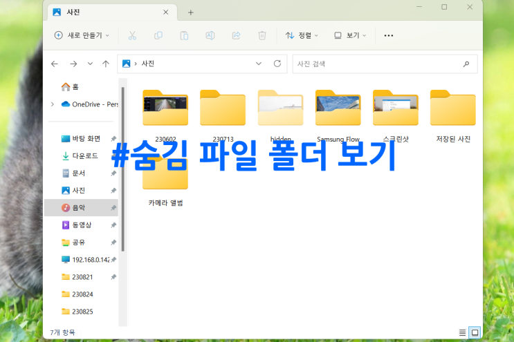 노트북 숨김 파일 폴더 보기 해제 및 확장자 표시 노트북 숨김 파일 폴더 보기 해제 및 확장자 표시