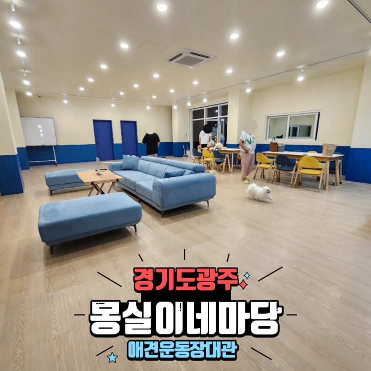  경기도광주 애견운동장 대관 넓고 깔끔한 파티룸 애견동반 모임장소 몽실이네 마당