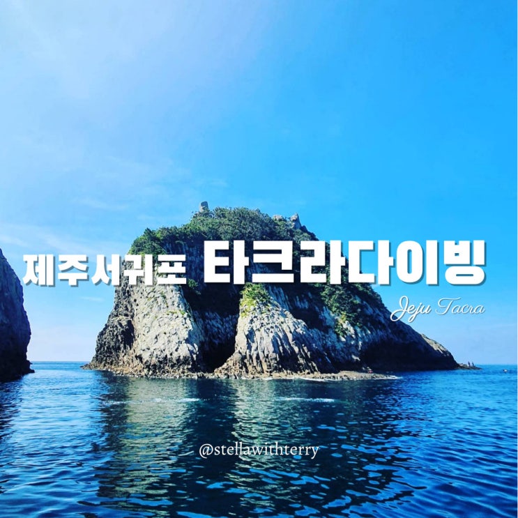  [제주도여행] 서귀포 문섬·범섬 국내 스쿠버다이빙 추천! 타크라다이빙 & 맛집·카페 추천