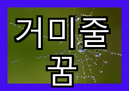 거미줄과 꿈
