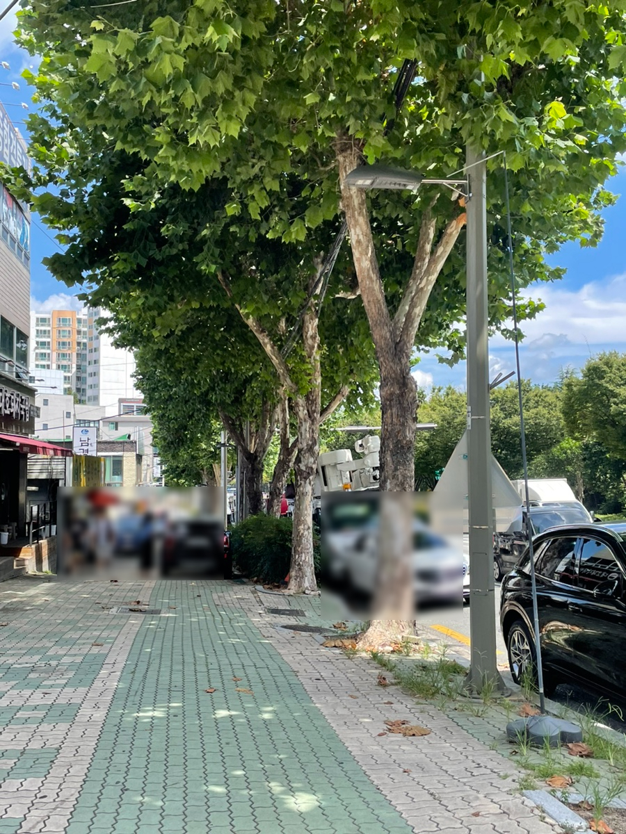 대호돼지국밥 만촌점 사진 3