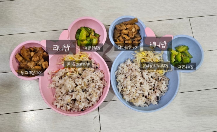  (6세, 2세 유아식) 닭다리살구이, 애호박무침