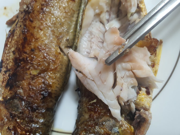 서천 반건조생선 맛집 넘버원 다건수산 택배로 신선배송