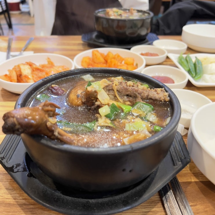  <수원 세류동> 몸보신하기 좋은 송할머니 옻닭집 방문 후기!!
