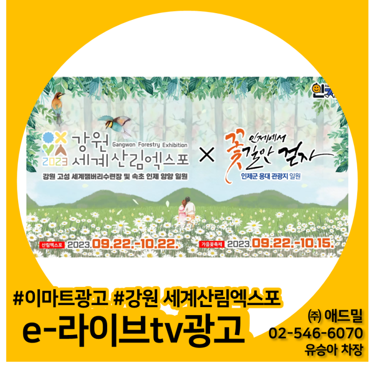  이마트 광고, e-라이브tv 광고, 대형마트 광고, 강릉점, 동해점, 강원 세계산림엑스포 사례소개