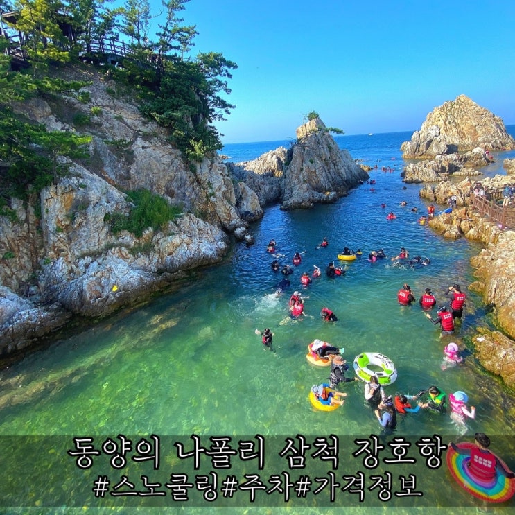  삼척 장호항 스노쿨링 주차 및 평상대여 가격 꿀팁