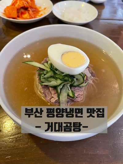  부산 평양냉면-거대곰탕 평양냉면
