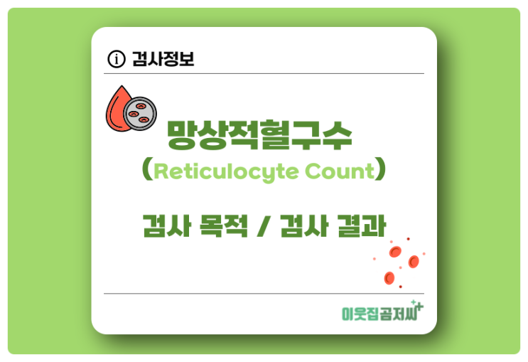  망상적혈구 수 Reticulocyte Count 검사 알아보기