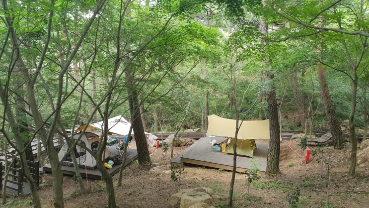  숲에서 쉼이 좋은 화왕산자연휴양림 야영장 (동영상)