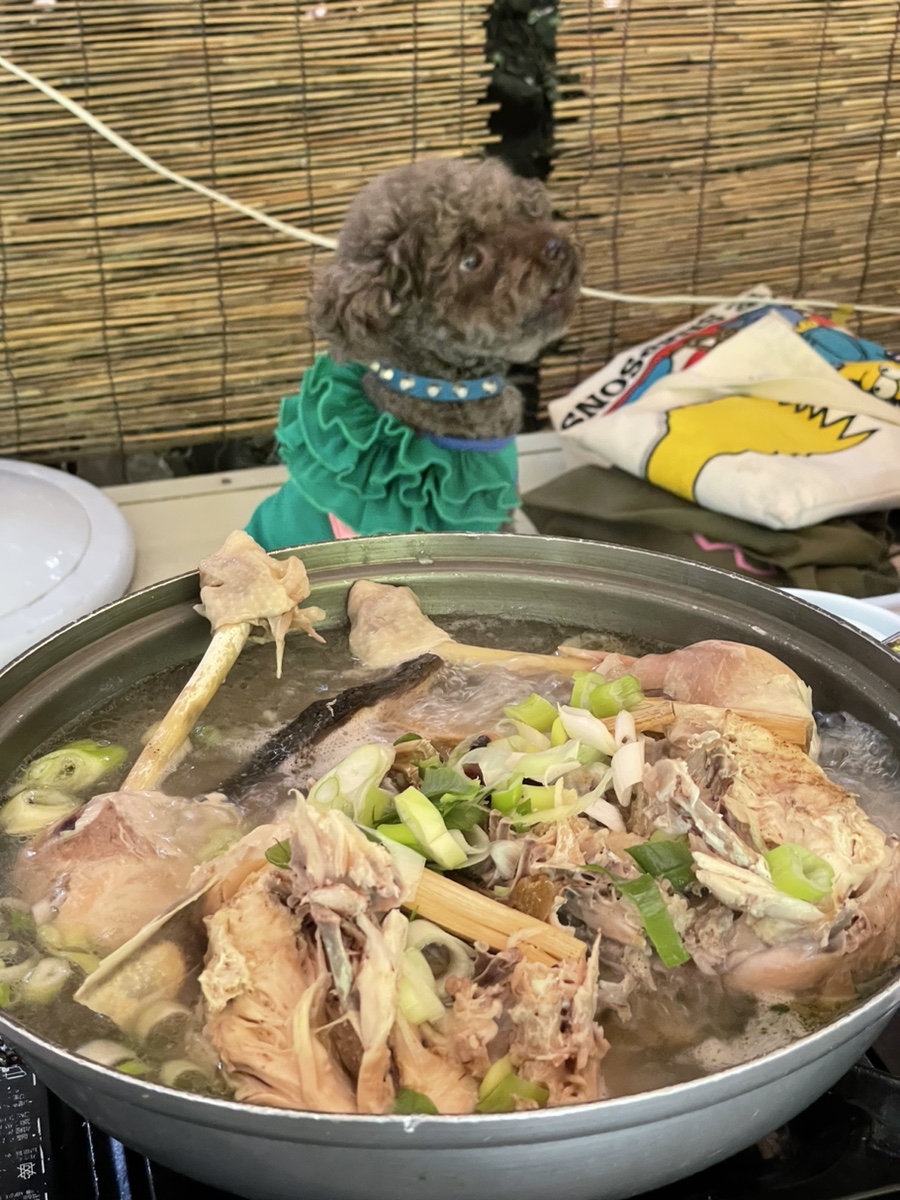 청솔가든 사진 4