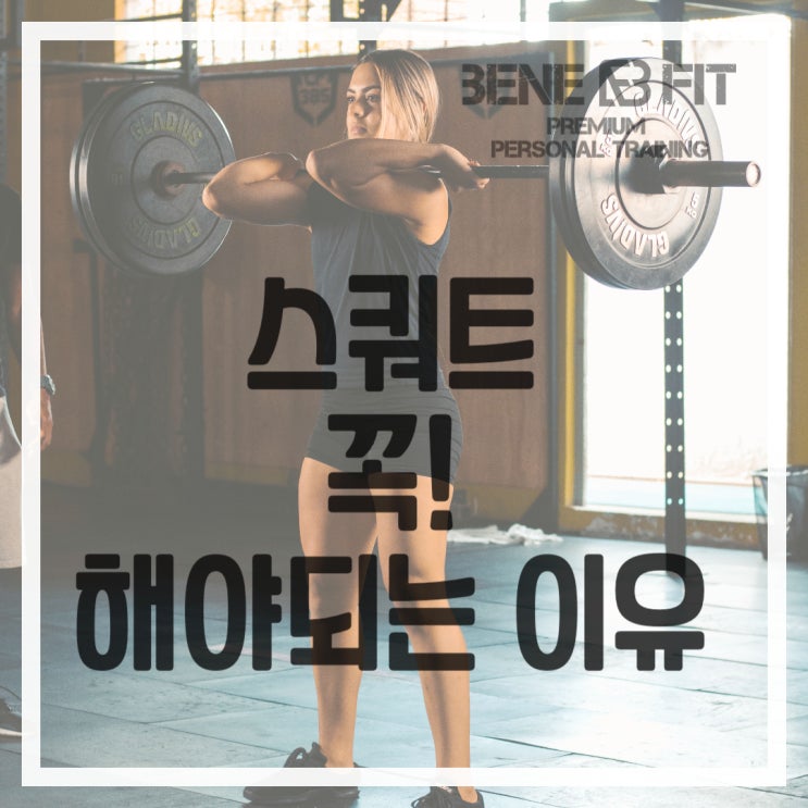 고블릿스쿼트 goblet squat 해야되는 이유