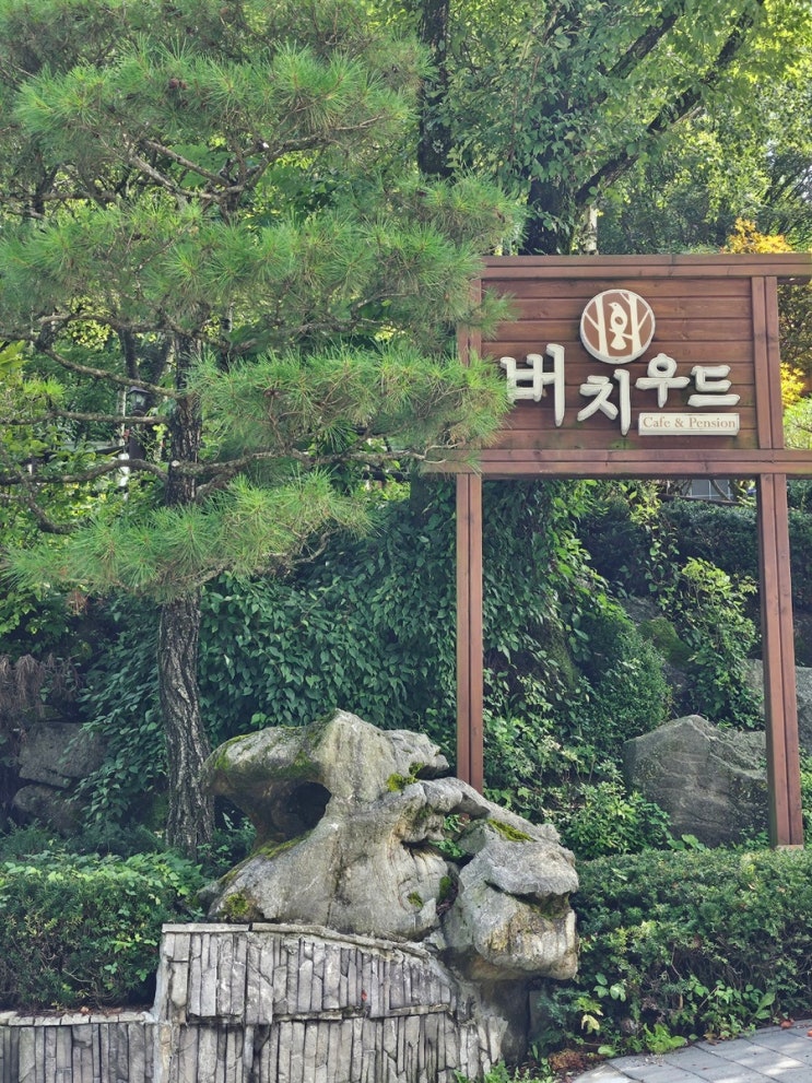  [고한] 버치우드 / 베이커리카페 / 하이원리조트근처카페 / 돈까스 , 파스타 맛집