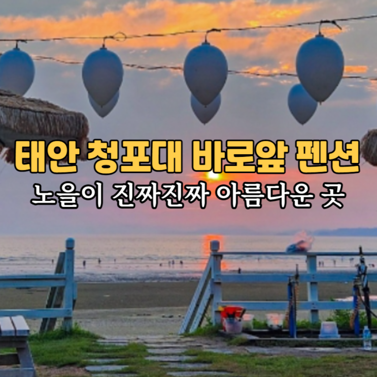 태안 청포대 펜션 독채 팬션 감성 숙소 비비오네 추천합니다